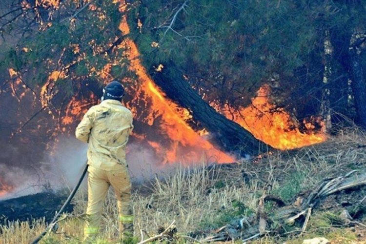 &Ccedil;anakkale Valiliğinden orman yangınlarına karşı uyarı!
