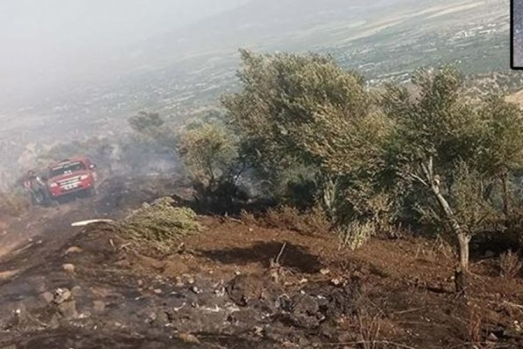 Aydın'da kaynak yaparken zeytinliği yakan 2 ş&uuml;pheli serbest kaldı