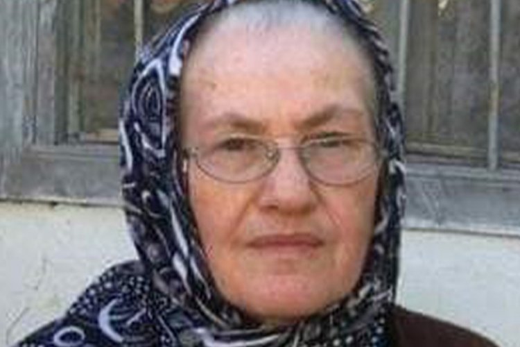 Artvin'de yılanın ısırdığı kadın hayatını kaybetti