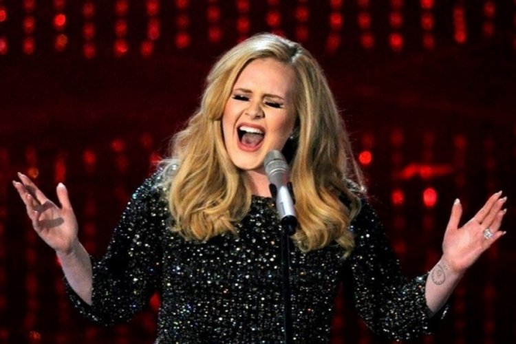 Adele konser esnasında seyircisini azarladı