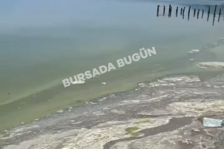 Bursa'da İznik G&ouml;l&uuml;'nde korkutan g&ouml;r&uuml;nt&uuml;!