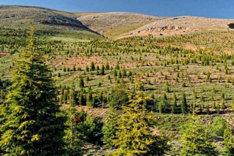 Bakan &Ouml;zhaseki: 50 milyar TL nakdi destek sağladık