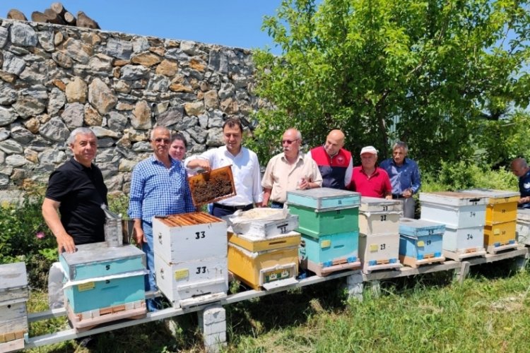 Kırklareli'nde 56 adet 'ana arı' dağıtımı ger&ccedil;ekleşti.