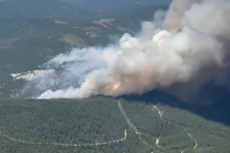 Bursa'daki orman yangını havadan görüntülendi 