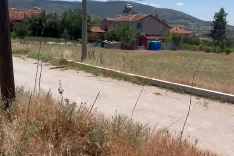 Denizli'de jandarma 'pisi pisi otu' detayından yakaladı