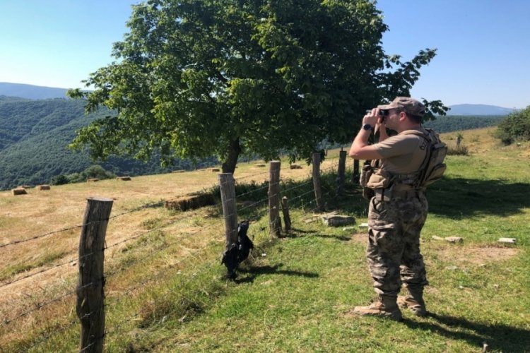 Kocaeli'nde ormanlar &ouml;zel timlerin g&ouml;zetiminde titizlikle korunuyor