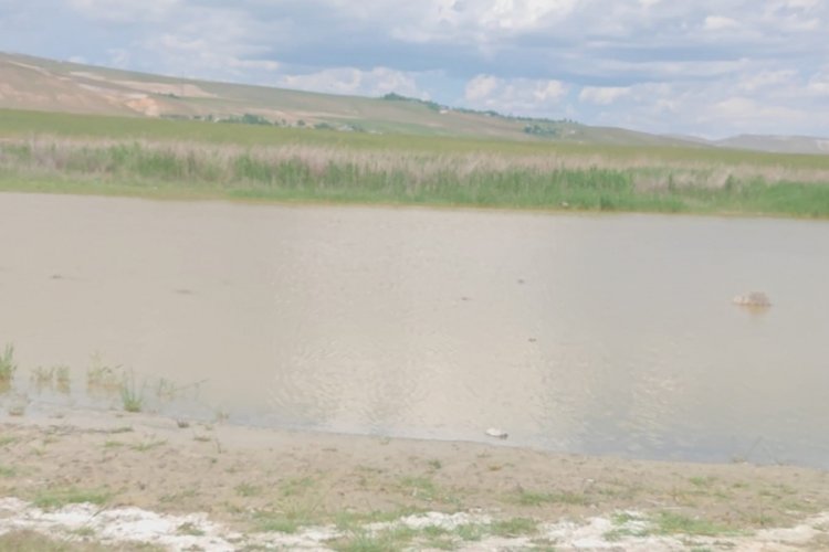 Bitlis 'Heybeli Gölü' su ve kuş sesiyle eski haline kavuştu