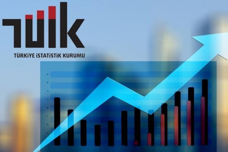 T&uuml;ik Sinema ve G&ouml;steri Sanatları istatistiklerini a&ccedil;ıkladı