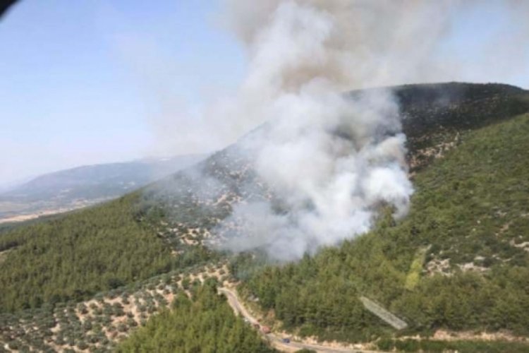 Muğla'daki orman yangınının nedeni belli oldu