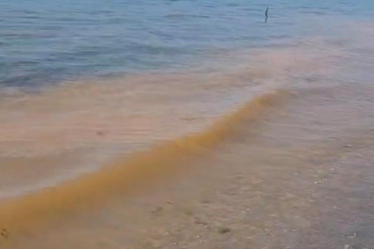 Bursa Kurşunlu'da deniz kirliliği dikkat &ccedil;ekti!