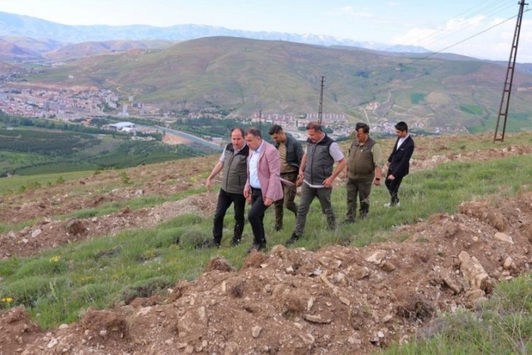 Bayburt'ta 300 bin fide toprakla buluşacak