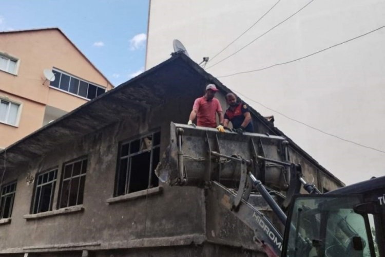 Sinop'ta yaralı martı ekipler tarafından kurtarıldı