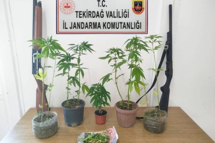 Tekirdağ'da yapılan operasyonda 10 kişi g&ouml;zaltına alındı