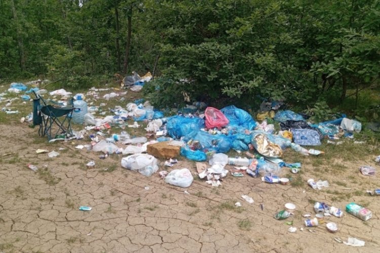 Bursalı doğaseverler 5 Haziran D&uuml;nya &Ccedil;evre G&uuml;n&uuml; kapsamında &ccedil;&ouml;p topladı