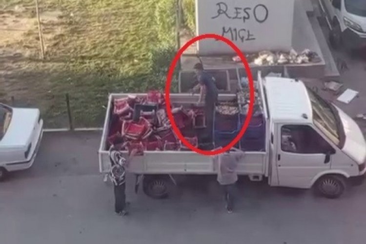 Bursa'da kilosu 100 TL &ccedil;ilekleri kasa kasa &ccedil;&ouml;pe d&ouml;kt&uuml;
