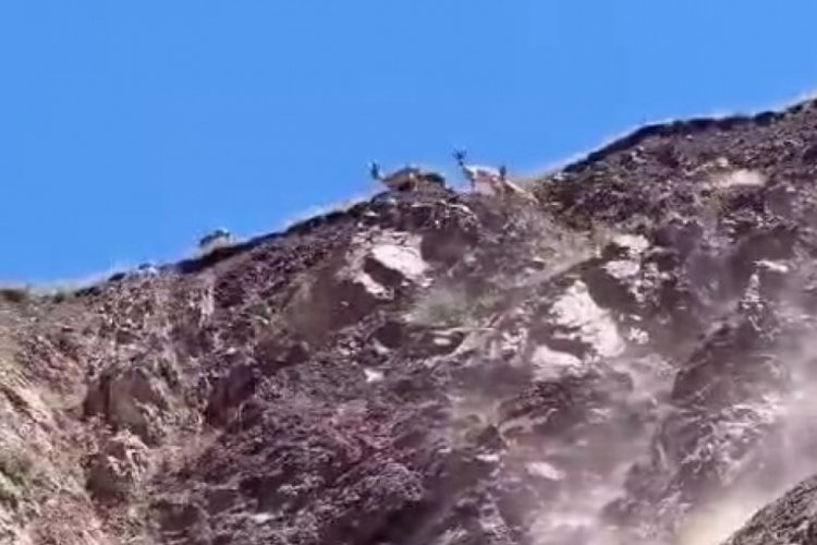 Elazığ'da dağ ke&ccedil;ileri gezerken g&ouml;r&uuml;nt&uuml;lendi