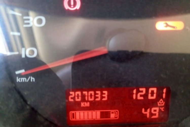 Adana'da sıcaklık 49 derece! Sokak hayvanları i&ccedil;in uyarı