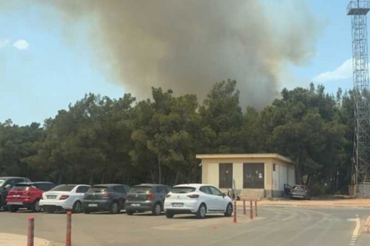 Antalya'da orman yangını