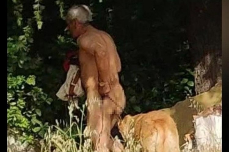 İstanbul'daki hayvan istismarcısı mahkemeye sevk edildi!