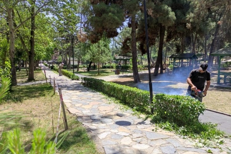 Samsun'da yaz temizliği titizlikle yapıldı
