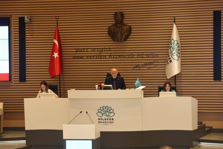 Bursa Nil&uuml;fer'de Sokak Hayvanları Komisyonu kuruldu