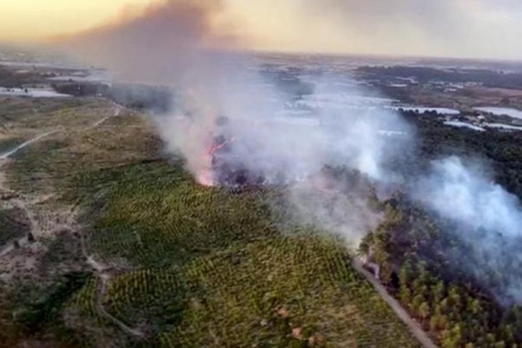 Antalya'nın Aksu il&ccedil;esinde ormanlık alanda yangın &ccedil;ıktı