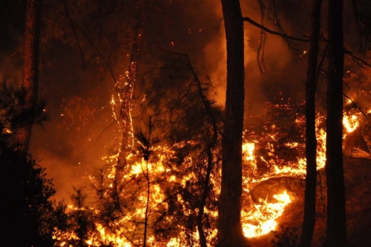 Marmaris'te trafo patladı, felaketin eşiğinden d&ouml;n&uuml;ld&uuml;