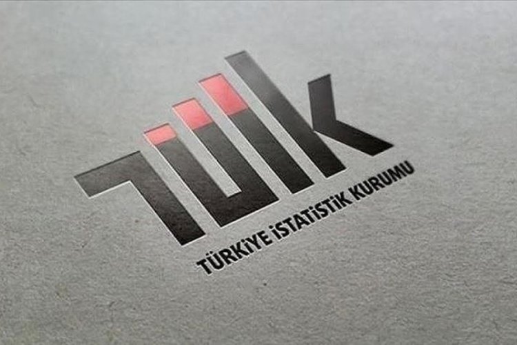 T&Uuml;İK 2023 K&uuml;t&uuml;phane İstatistiklerini a&ccedil;ıkladı