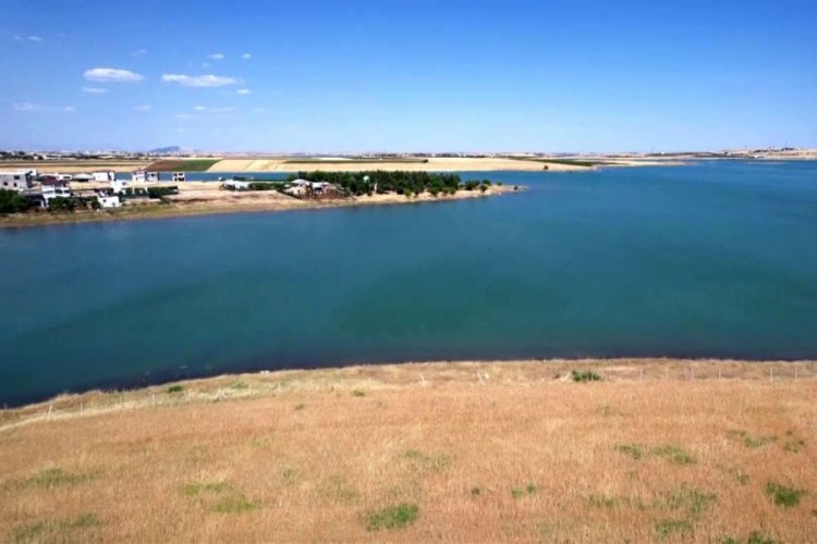Adıyaman'da olimpiyatları aratmaya g&ouml;r&uuml;nt&uuml;! Dağ ke&ccedil;isi barajı y&uuml;zerek ge&ccedil;ti