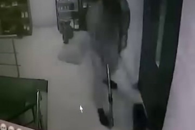 Sakarya'da kediye sopa ile saldıran kişi g&ouml;zaltına alındı