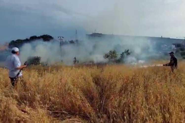 Kocaeli'nde yulaf ekili tarlada yangın &ccedil;ıktı!
