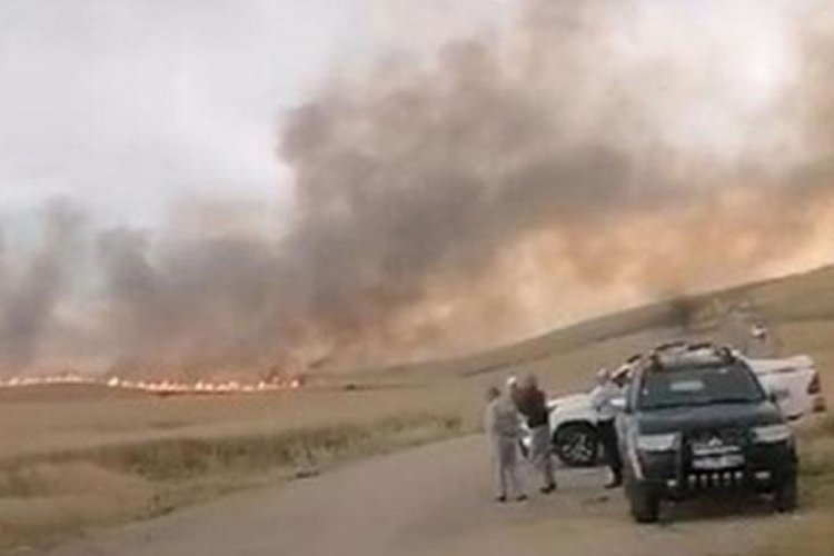 Diyarbakır'da buğday tarlasına yıldırım d&uuml;şt&uuml;, 137 d&ouml;n&uuml;m yandı