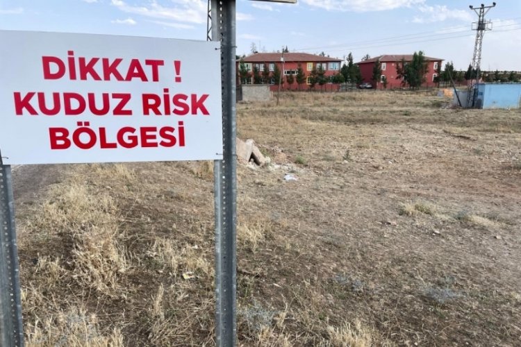 Şanlıurfa'da 2 mahalle karantinaya alındı!