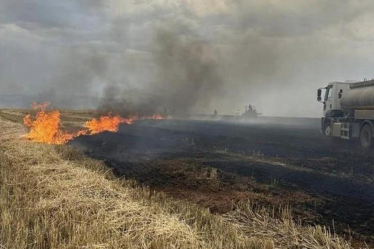 Şırnak'ta yıldırımlar buğday tarlasını k&uuml;le &ccedil;evirdi