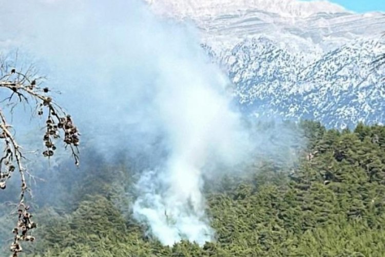 Antalya'da orman yangını!