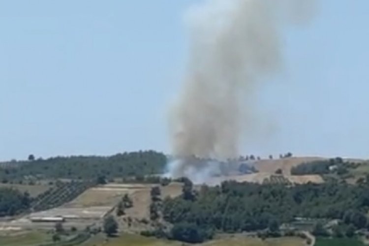 Adana'da orman yangını!