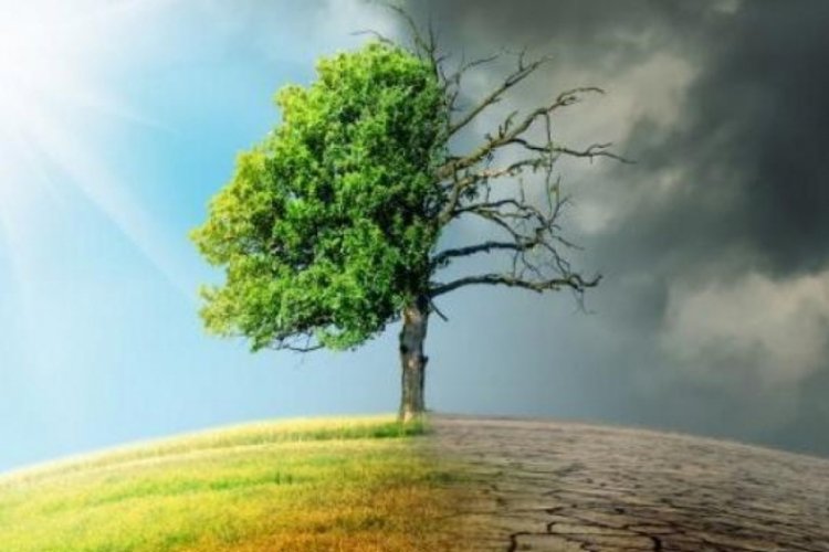 Uludağ Elektrik İklim Değişikliğiyle M&uuml;cadelede İş Ortaklarına g&uuml;&ccedil; veriyor