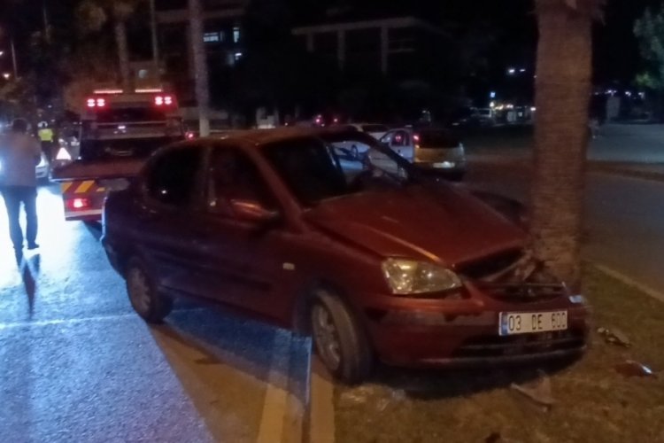 Antalya'da 80 yaşındaki s&uuml;r&uuml;c&uuml; palmiye ağacına &ccedil;arptı