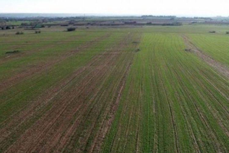 Bursa İneg&ouml;l'de icradan tarla satışı ger&ccedil;ekleştirilecek