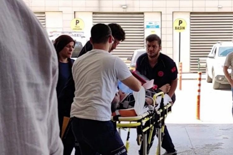 Bursa'da arıların soktuğu adam &ouml;ld&uuml;