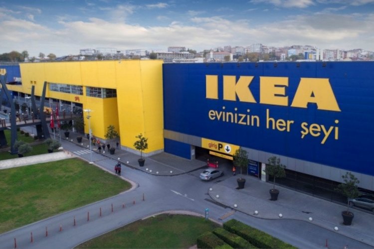 IKEA mercek altında! Ormanların 'sistematik tahribatı' ile su&ccedil;lanıyor