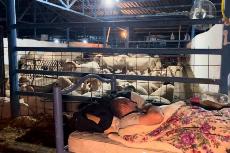 Bursa'da kimi yerde, kimi arabada, kimi hayvanlarla i&ccedil; i&ccedil;e yatıp n&ouml;bet tutuyor