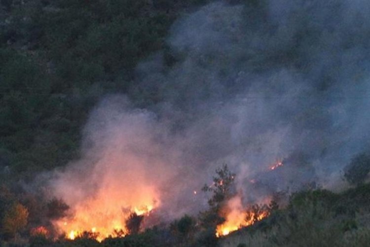 Adana'da 2 g&uuml;nde 10 orman yangını!