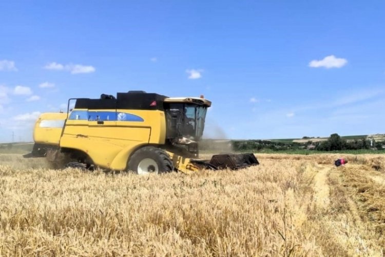Kırklareli'nde arpa hasadı başladı