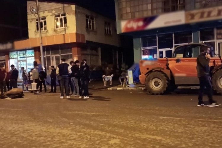 Bunun adı vicdansızlık: Kuyruğuna plastik kutu bağlanan at kazaya sebep oldu