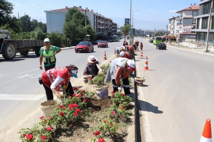 Düzce çiçeklerle restore ediliyor 