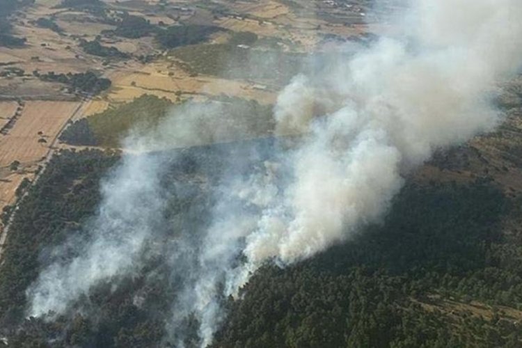 &Ccedil;anakkale'de orman yangını: 5 hektar alan k&uuml;l oldu