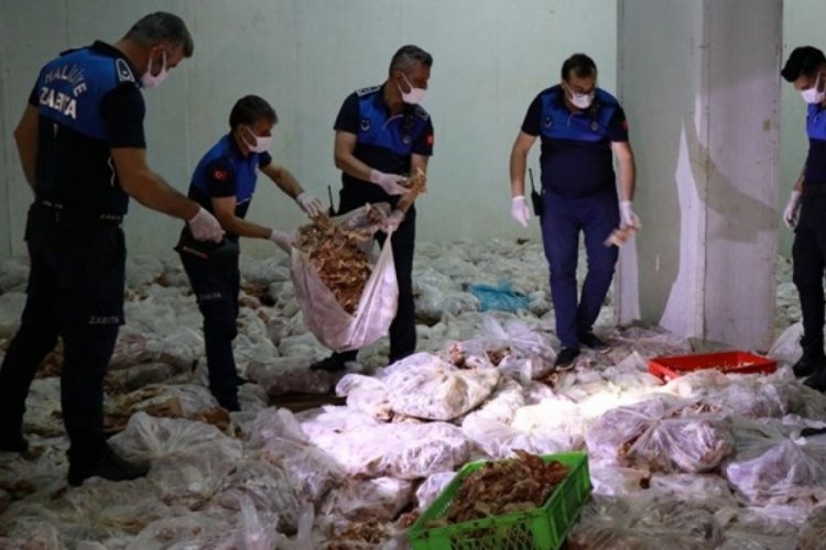 Vatandaşa yedireceklerdi: Şanlıurfa'da 10 ton tavuk imha edilecek