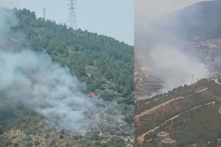 İzmir Narlıdere'de orman yangını!