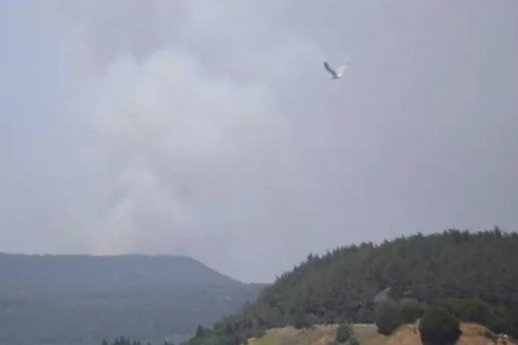 &Ccedil;anakkale'de orman yangını